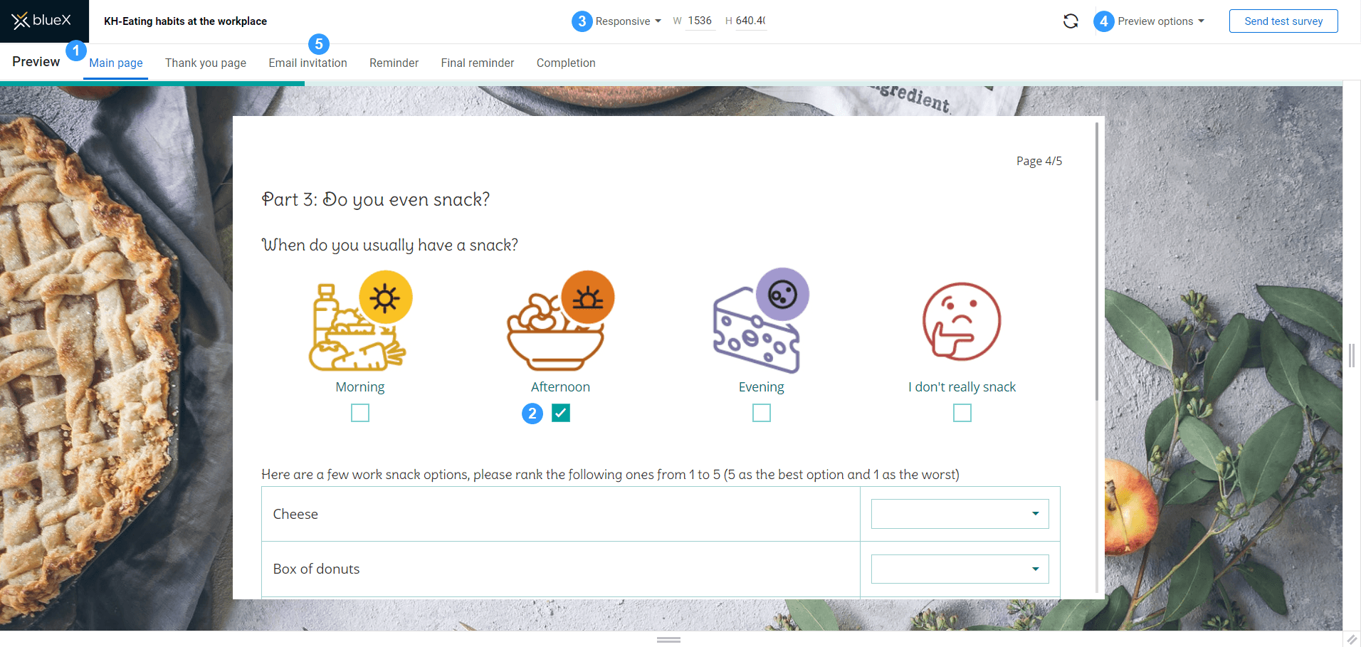 Preview of a sample survey