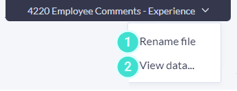 Rename data file or analysis
